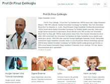 Tablet Screenshot of firuzcelikoglu.com